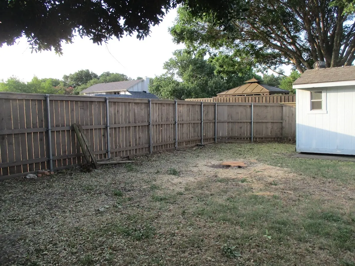 Cleared yard after professional tree removal in Mcarthur